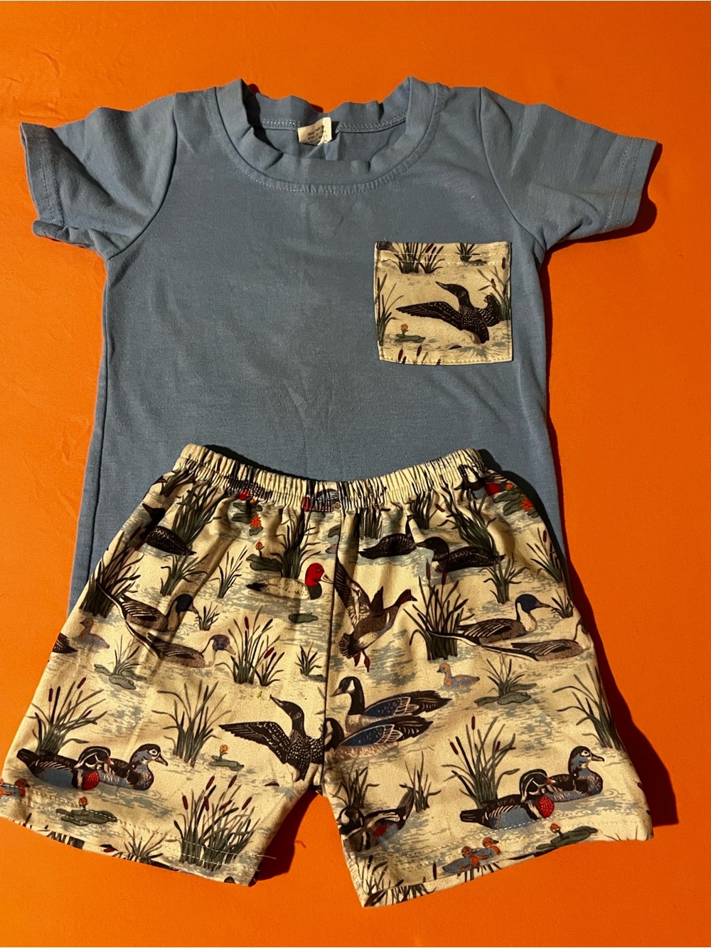Blue Pocket Tee & Duck Print Shorts Set